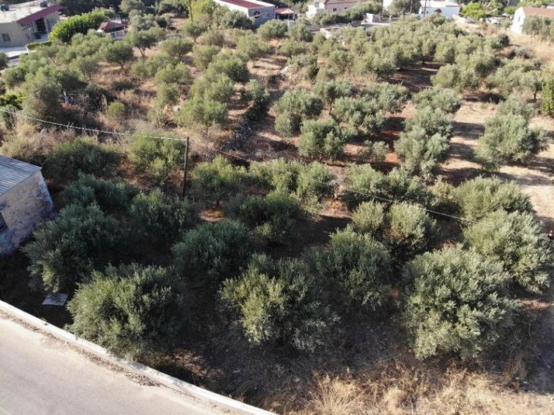 Xirosterni Kreta, Xirosterni: Grundstück in ruhiger Lage mit Berg- und Meerblick zu verkaufen Grundstück kaufen